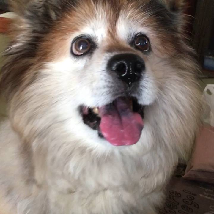 66383457 8533 48c8 928f 439c2518e161 1606958104576