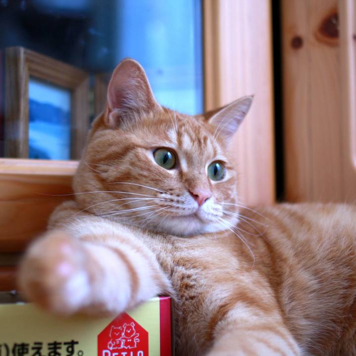 663853ec 18ea 48b3 b835 cd4c30d9b412 1718267435819