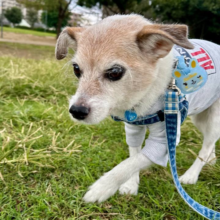 6638a354 08f1 4ddd 8c1b 65e2eeb3a534 1730849703716