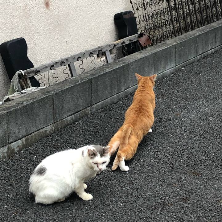 6638c7f1 b1fe 4452 a05b daac75a92408 1572729103610