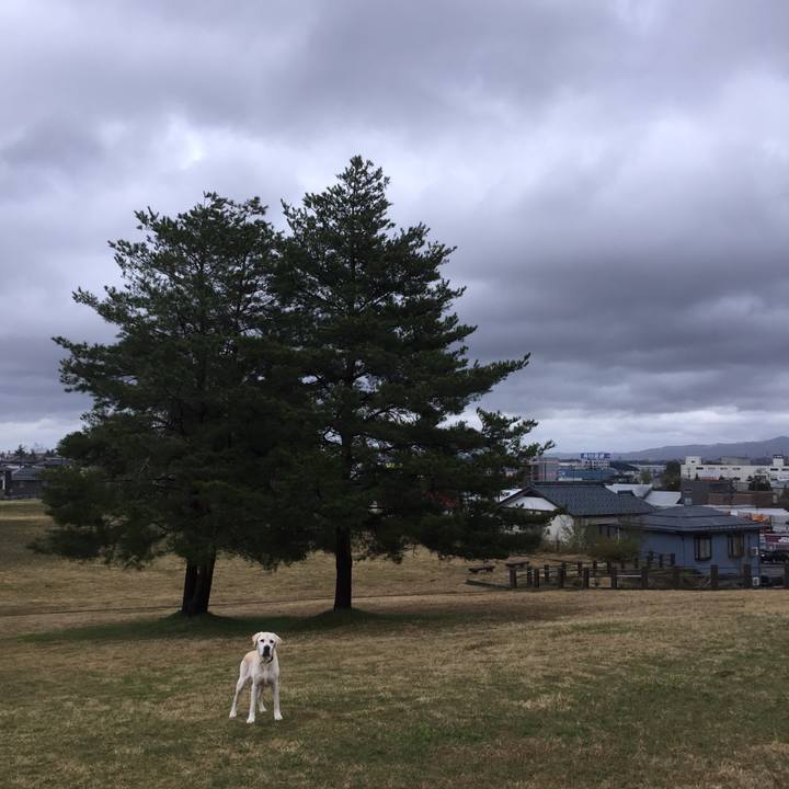 6638d83c 3827 4160 aba9 fa85ac4631cb 1523772985233