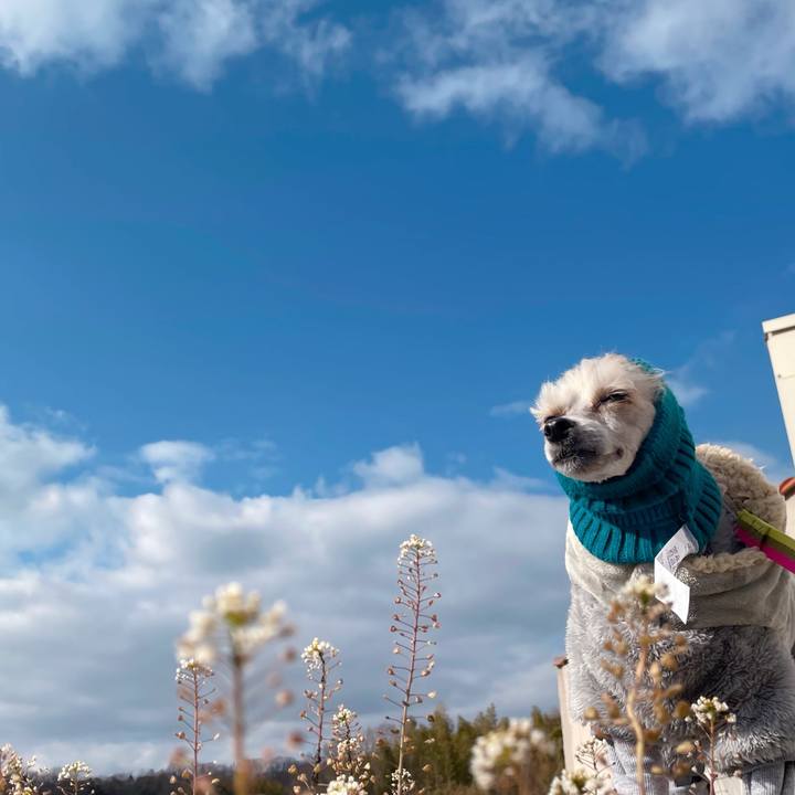 6638f338 75a0 4f15 8bb8 38883f470dba 1770624621198