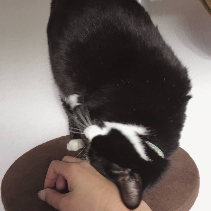 66392353 7dcf 4992 aa19 c8aa140dfb4f 1762052766700