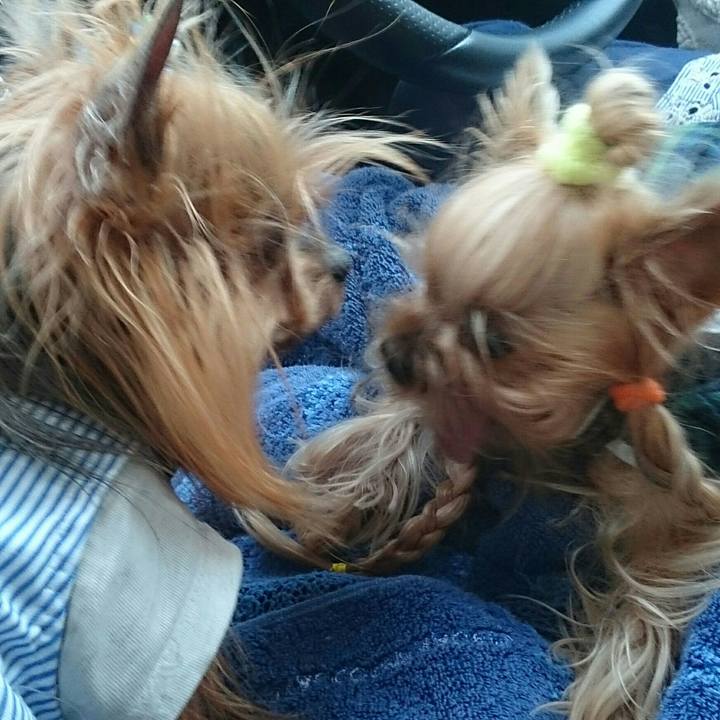 663927ab 2c99 46b3 9c71 cff9331b2229 1536191688122