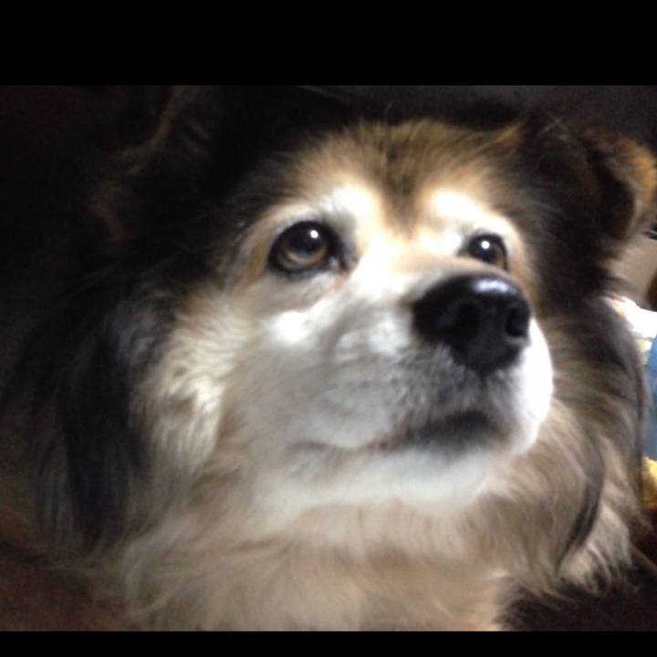 66398bd6 6c48 4486 aa6d 990bfcd391cc 1643176215620