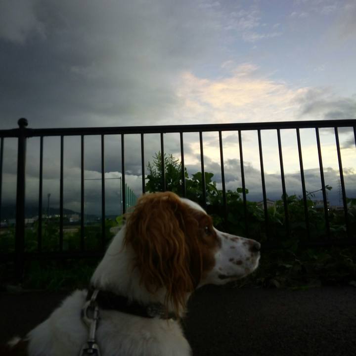 66399227 0c5d 4e93 a531 bba3b718eb22 1509267189334