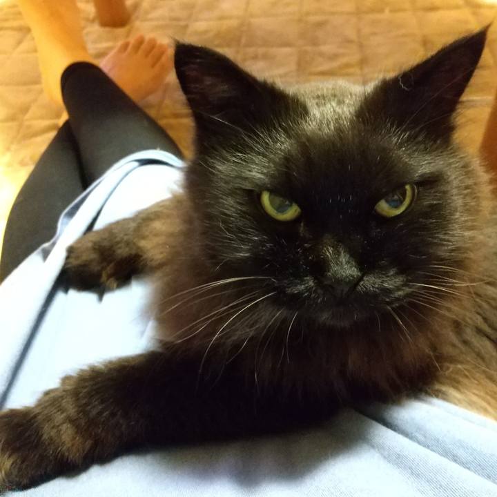 6639b1bb 813a 44e8 afa2 085cedfc25c3 1655463988093