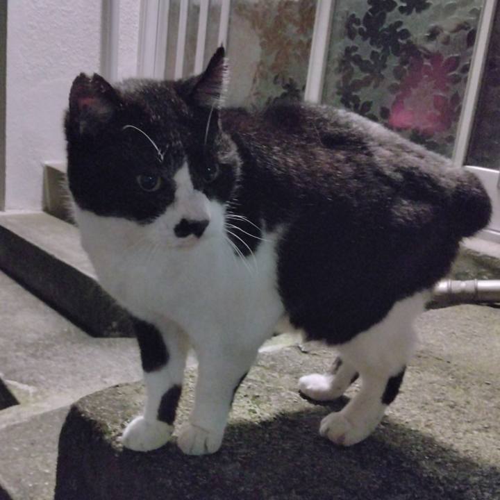 6639ccb1 f782 4dcf 9255 fd11f186a39b 1701086638449