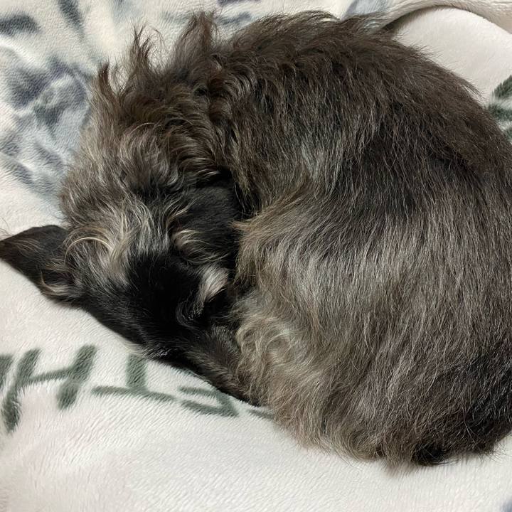 6639d4ae 3fa0 4cc2 95f6 6b7387c674c5 1705017209654