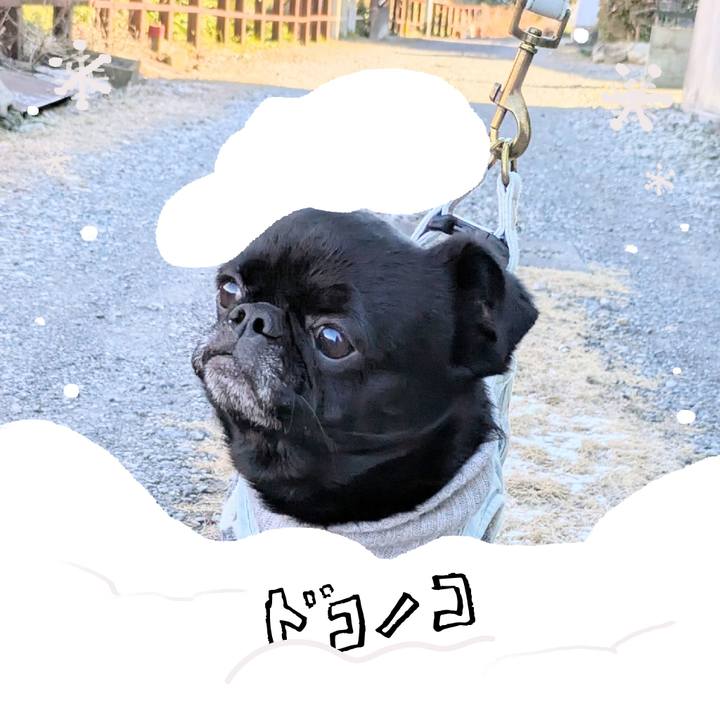 6639db60 e646 42bd 9068 a970dd2cfcf9 1772365718157