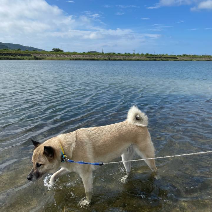 6639ec40 5e3b 498d a531 fbe4fde82ced 1692427103468