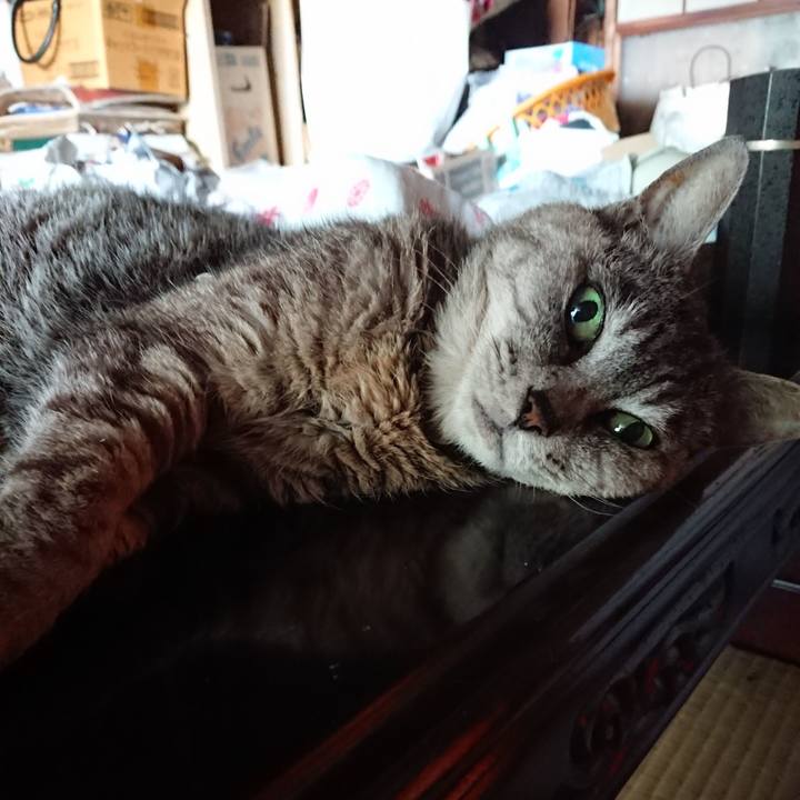 663a0baf 0493 42e3 9589 ccbb8c6a12c0 1564951901669