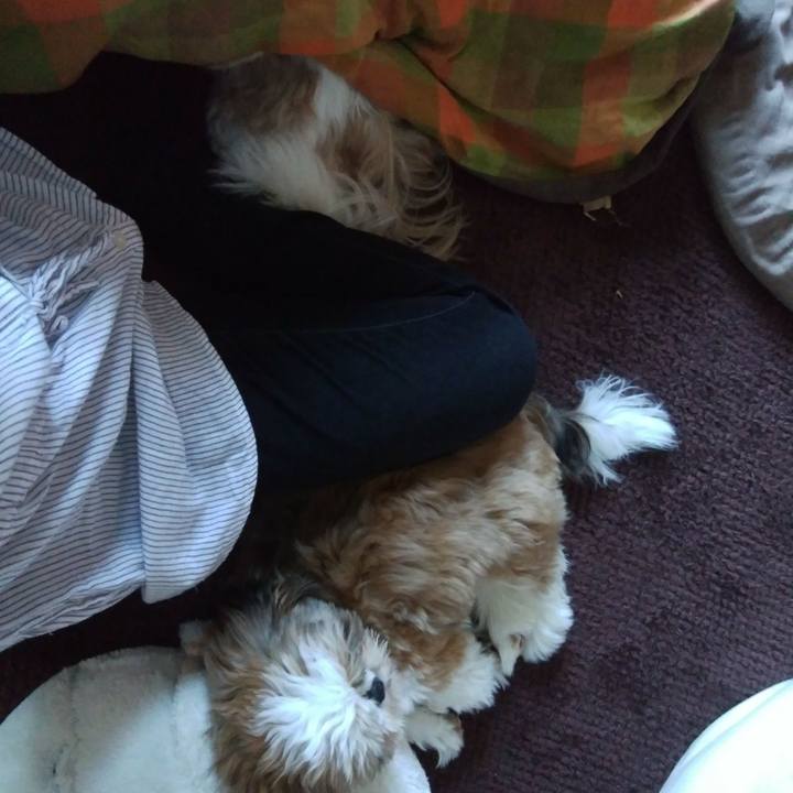 663a0e48 f5b0 408e 812e cf7053178f9d 1540163084433