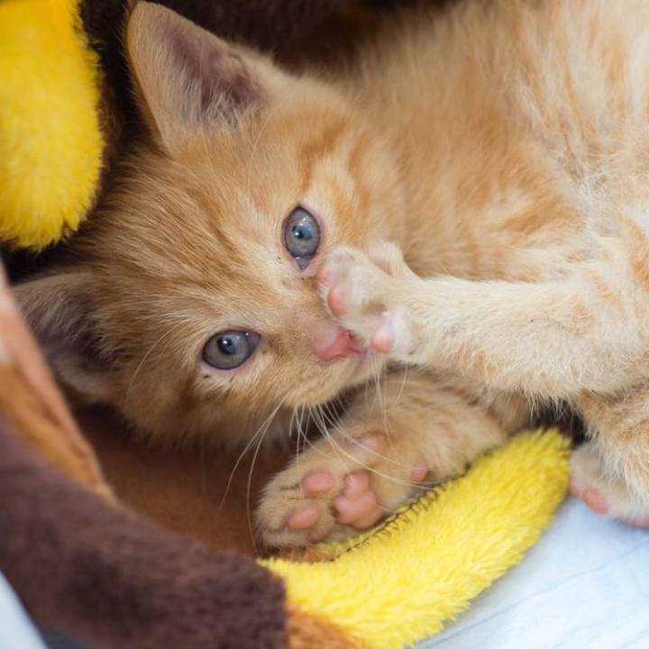 663a16ec ad79 4756 8bff 70c5776395af 1557010367343