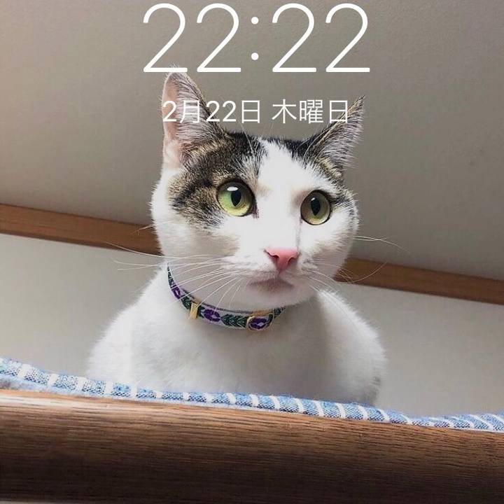 663a7509 f1a3 4b9d 8f82 1f207a8bd578 1708608390546