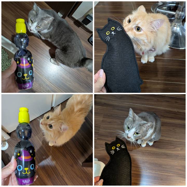 663a8ecc 7fcd 458b 8a2d 95d3ebf8d094 1757051257001