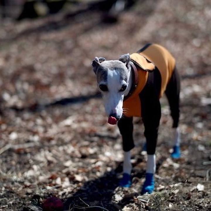 663a9046 2f1a 431b 93fa 51039539cb6a 1524027990403