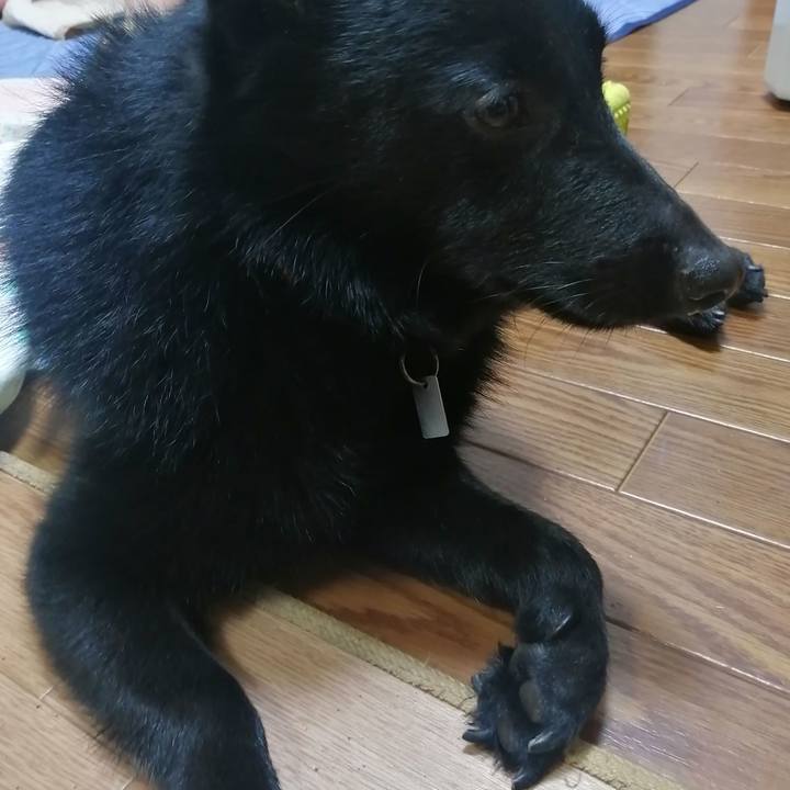 663a9540 d962 46fb 8e5c f7af66bfee28 1627908195707