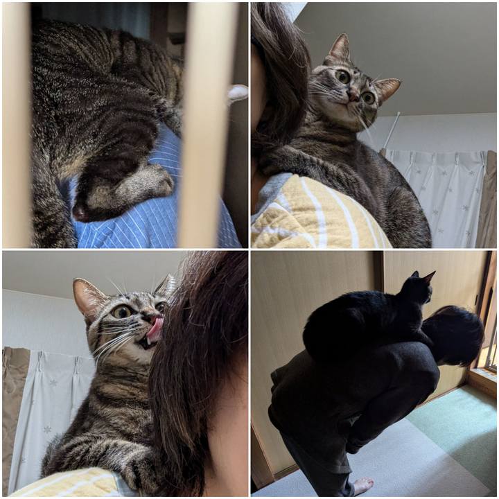 663add7b 87ca 4344 bf01 e599c2e71dbd 1732944882514