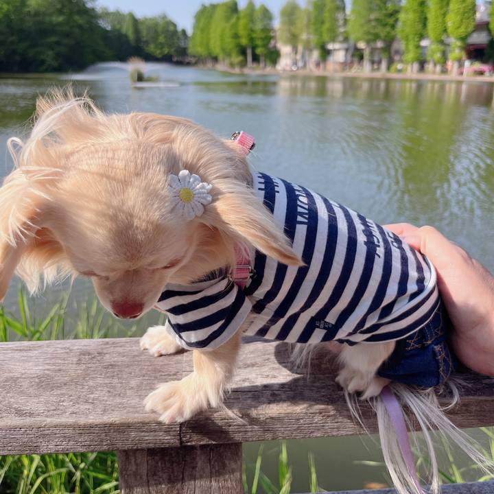 663b273e d42e 4743 a82c e495d138486d 1651653770559