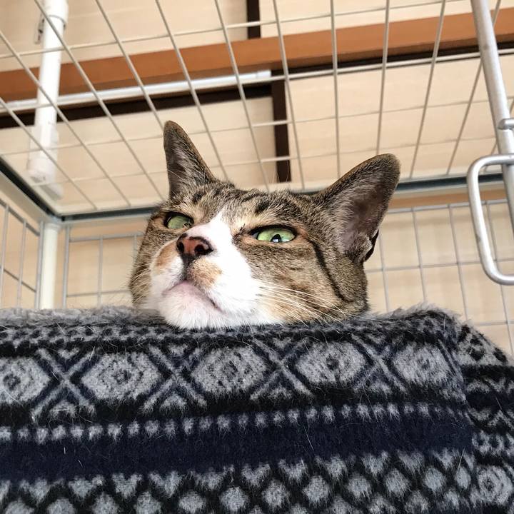 663b4403 d09b 413e 9c40 a0fdce5233e1 1522717394366