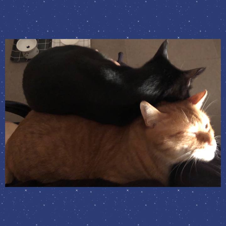 663b675f 86c2 43ab be01 b22f40d46002 1680607817297