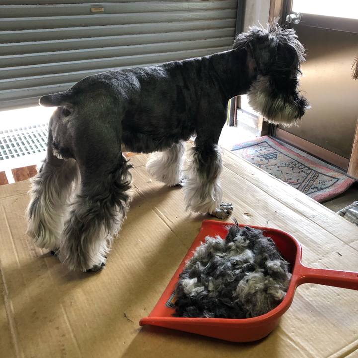 663bfd5a 6956 4591 a98f 97037c005ee8 1686379240784