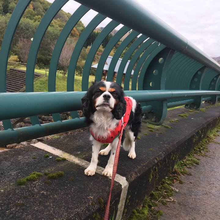 663c04e3 a568 41f4 83d5 fcbcd820f10b 1508583157246