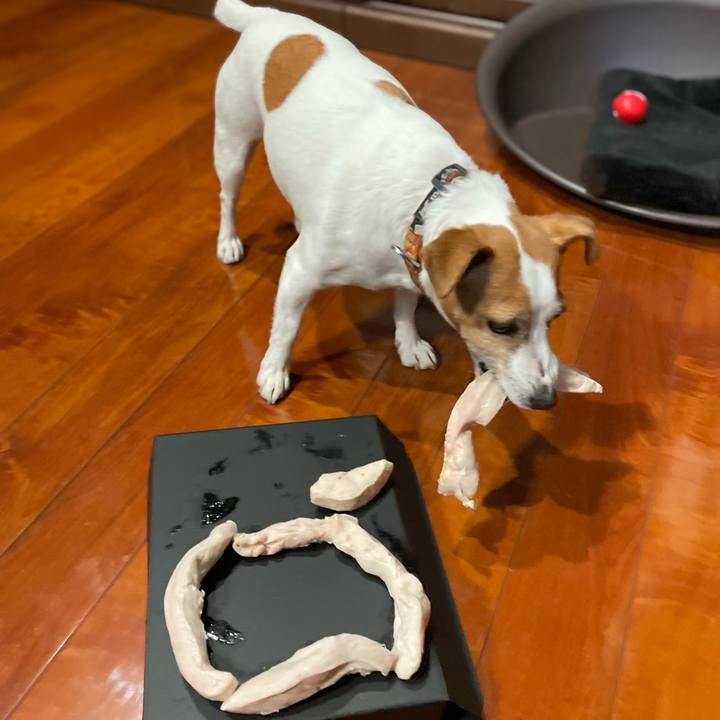 663c13b8 a60d 4776 9e3b 703df98cea96 1770807164416