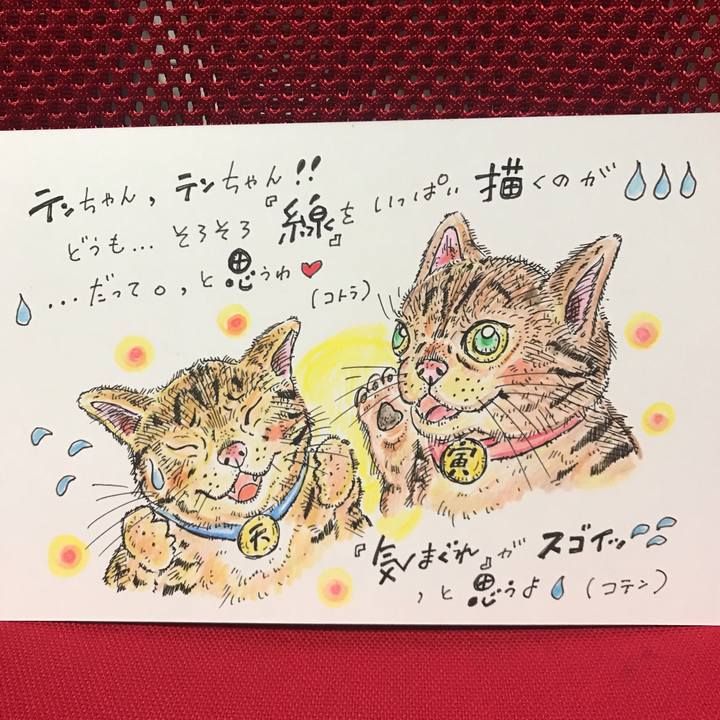 663c34fe 0533 470e 822d b7c7de71d2f5 1560013790469