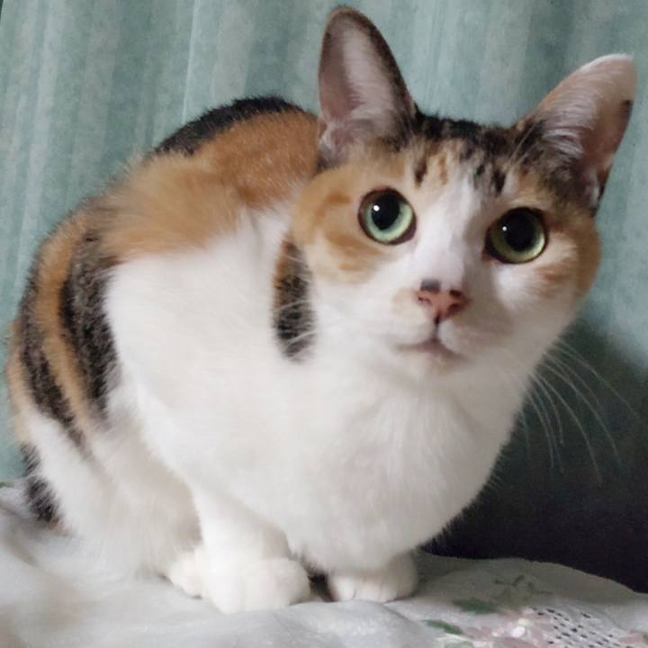 663c4414 e565 4f7b a0f6 d6bebf83e374 1672572521971