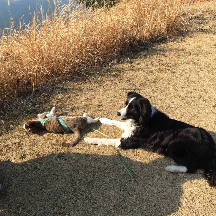 663c4c9a ec11 4320 a9eb be269b68d297 1519632005377