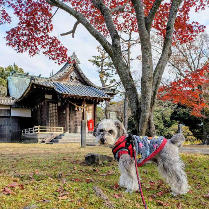 663c5fcc 6d81 444c afce ba97929059f1 1765072002925