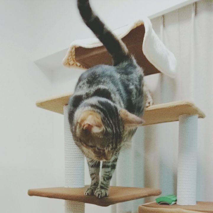 663c6a1d 3966 44b5 bf69 040090e86f03 1516014640327