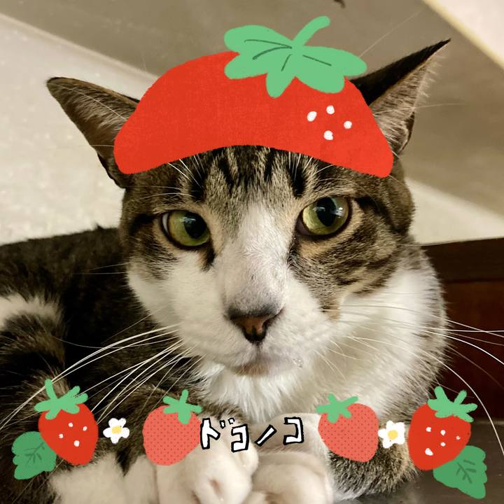 663c9191 79d3 43f3 8a78 8efbf19bde57 1775871221439