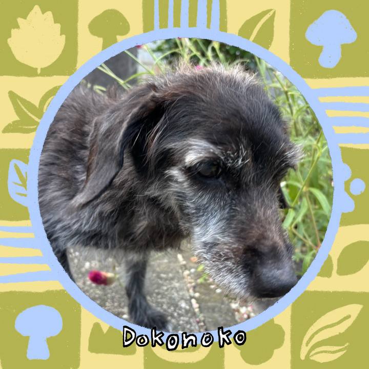 663cd22e e49a 4f11 8369 da3fcad8a342 1761606417507