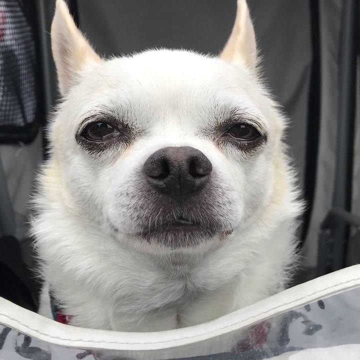 663d31c2 1af0 4602 a965 1864f53c8d3e 1602421632491