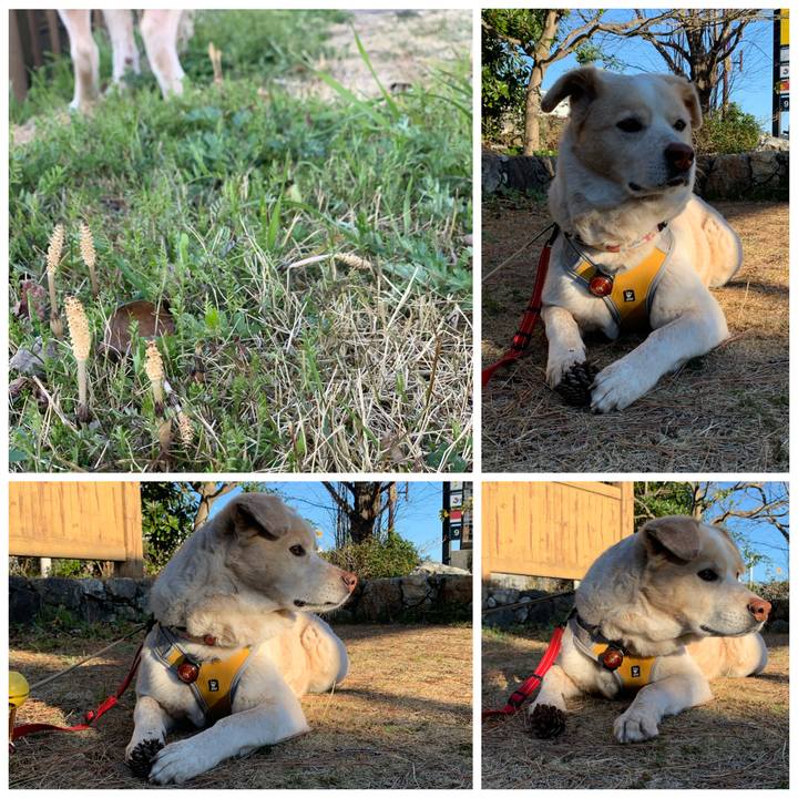 663d4797 7e47 4db5 ac9d 27a5051ca7a0 1583452911008