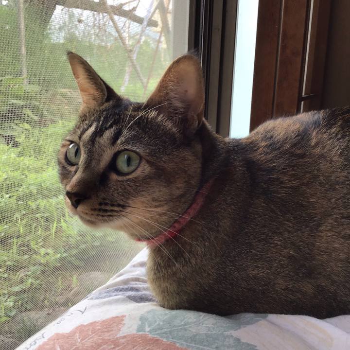 663dbb7c 81fe 4195 bc5b 4b3486e4229a 1596664916342