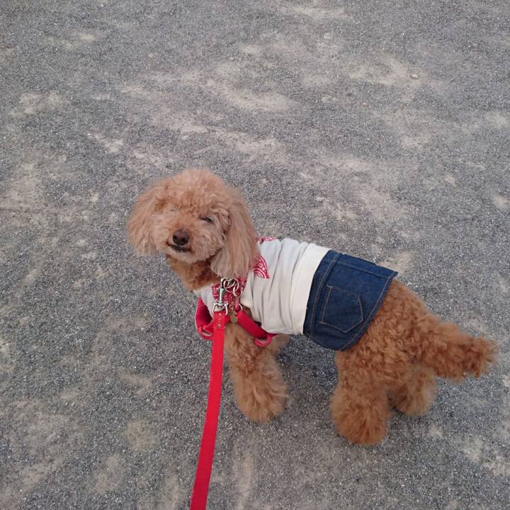 663dbd91 c8f7 4783 a9cc e7b5f7bed581 1528241274464