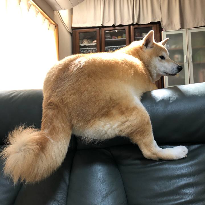 663e1c5b a105 420b b9de 3ac3eb090dda 1590647556332