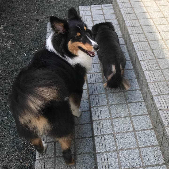 663e5a1f 34e4 4638 a65d 6771a22bdcd1 1524959734711