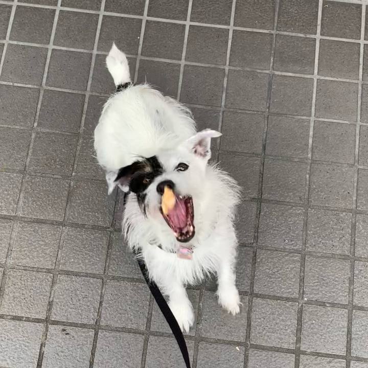 663f8c6a 710f 49f0 8a51 328897fabad2 1659742958301