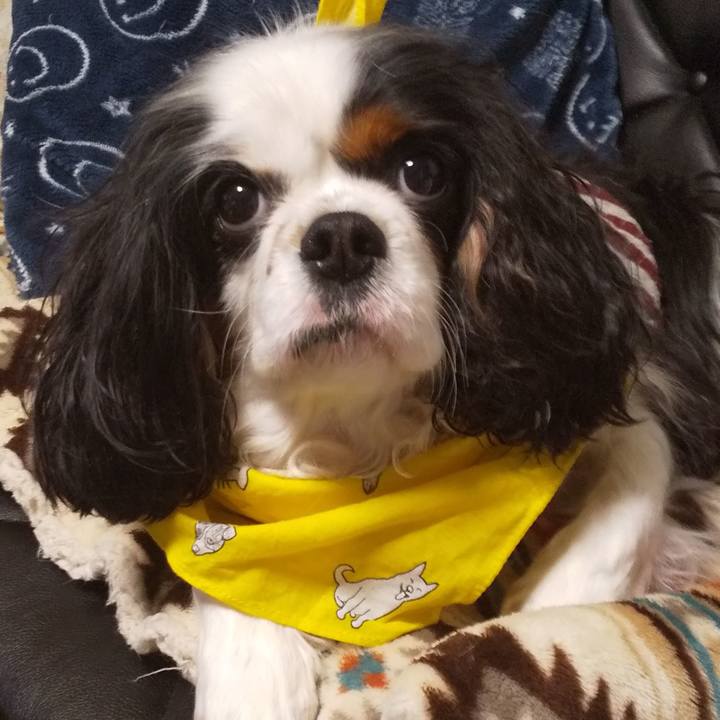 663fa2c9 9e77 4bb6 a3f0 315960dff368 1553168174115