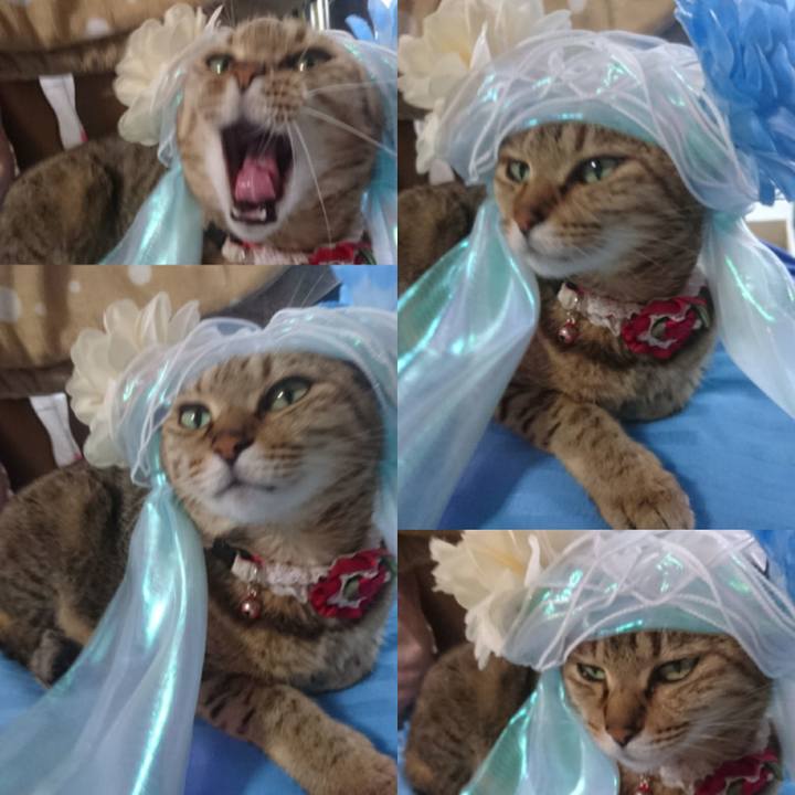 663fd03b 0685 4da5 b71e 650ee26cd100 1764804028529