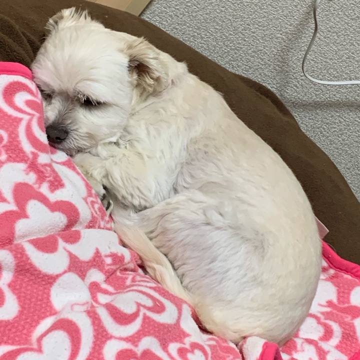 66400fa7 abc8 4186 82d4 9aa3360924f5 1584527570006