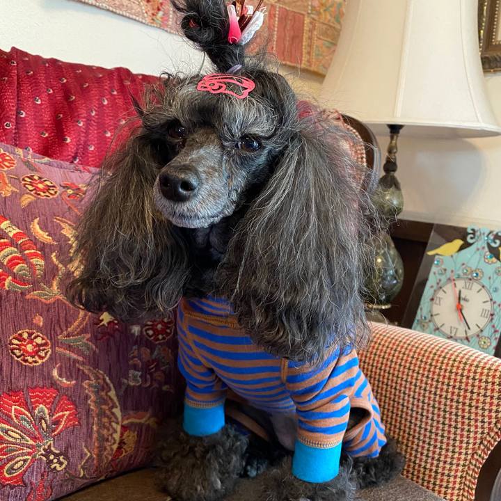 664014b8 5b15 4086 8f40 3742d2aa8646 1699939265697