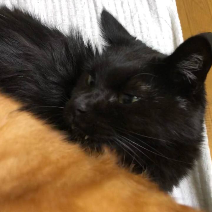 664039a2 759f 4dcf 95bb 838bc4e9e710 1633521185464