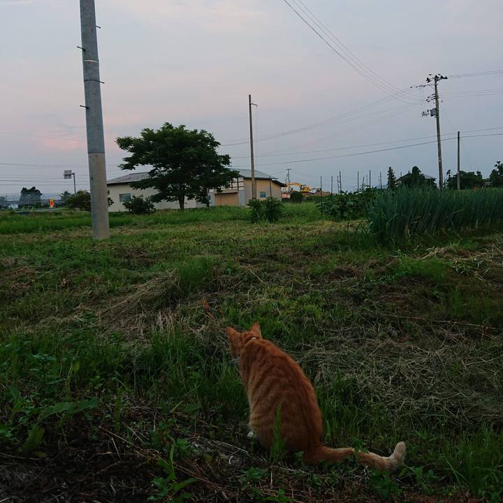 6640409c 796a 49d5 975f 9e721ce54b4c 1596534687567