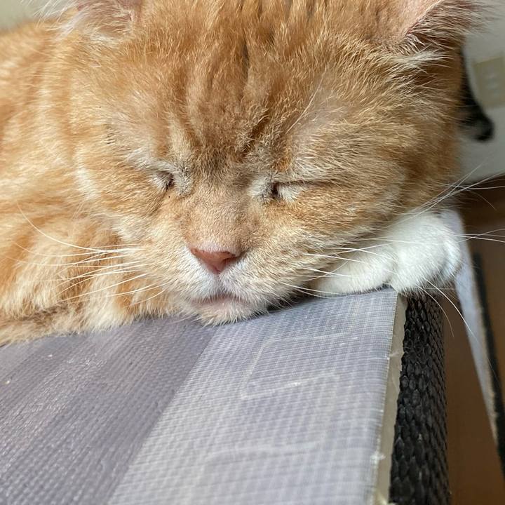 66404683 1137 42fd 89a6 b53fcedff7a1 1620975993723